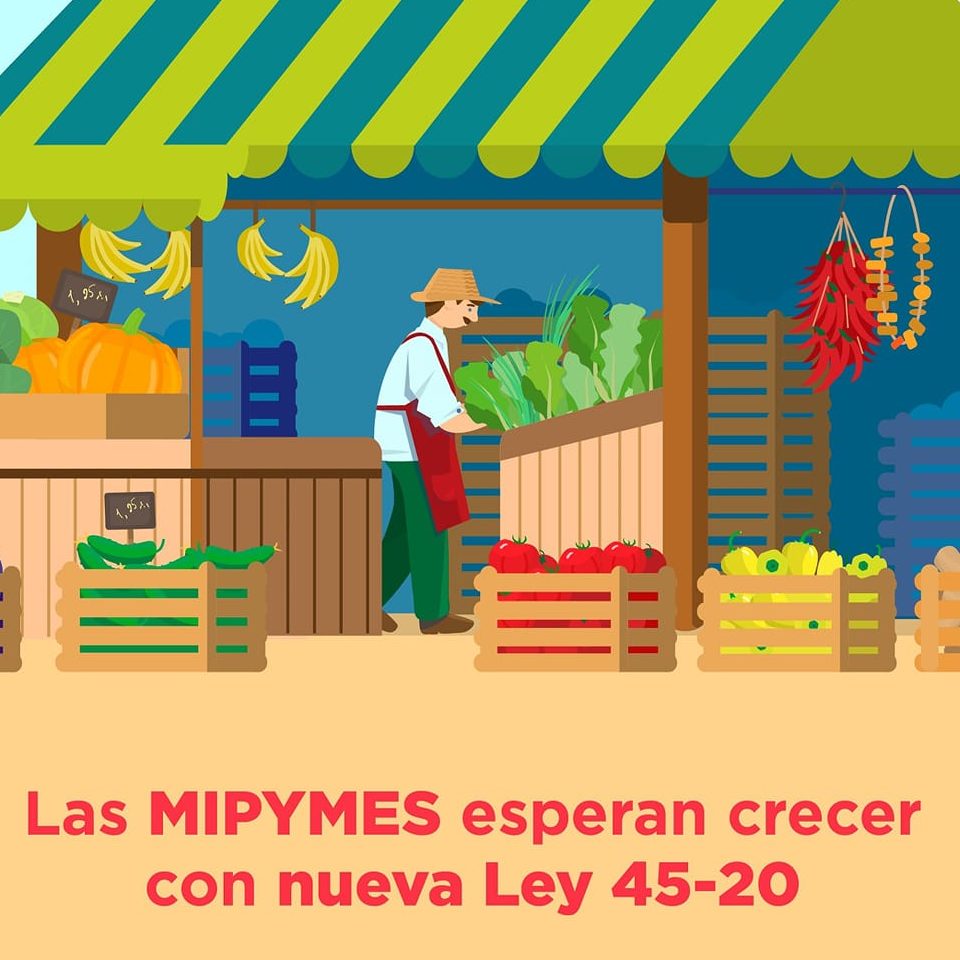 Ley 45-20 sobre Garantías Mobiliarias: acceso directo al crédito para MiPymes