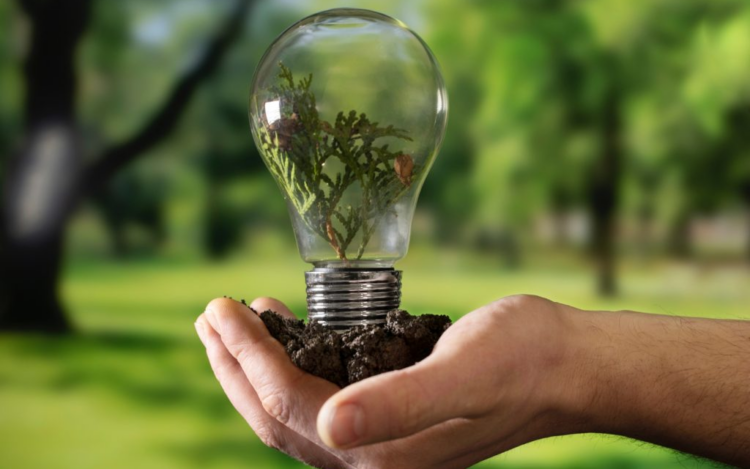 CAMACOESRD - ¿Dónde están y hacia dónde van las energías renovables en RD?