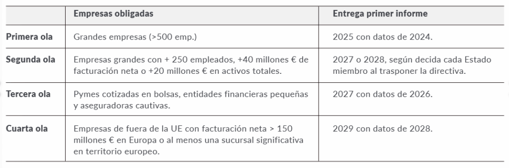 Calendario de aplicación de las NEIS. CAMACOESRD.